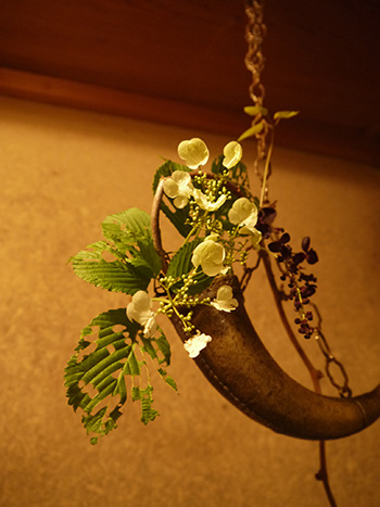 b0035734_17312865.jpg