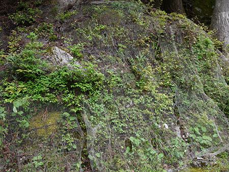 b0035734_17452665.jpg