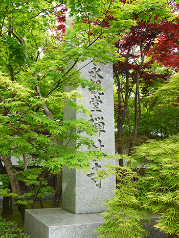 b0035734_1747023.jpg