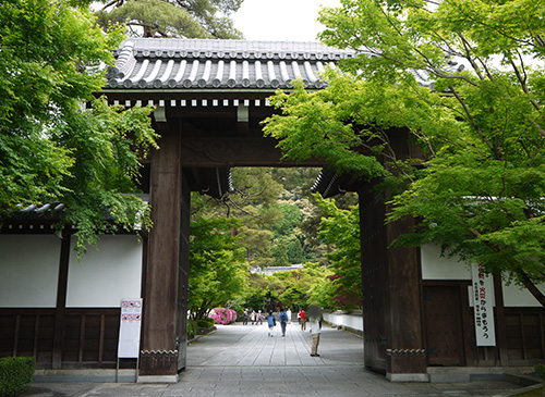 b0035734_17474386.jpg