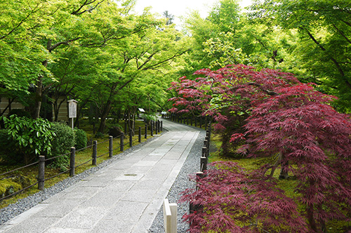 b0035734_17482097.jpg