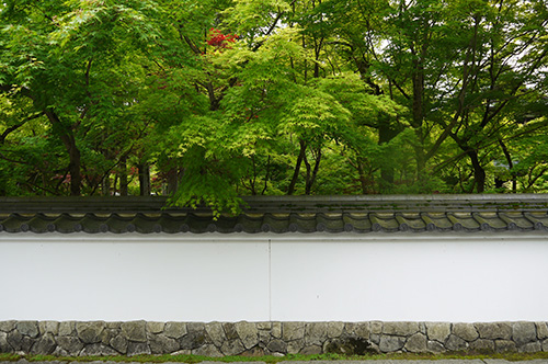 b0035734_1748316.jpg