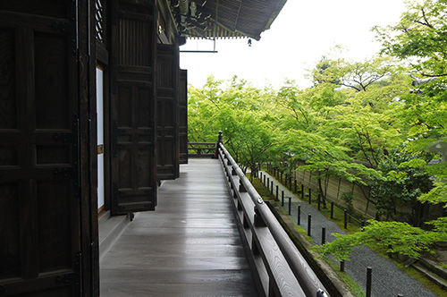 b0035734_17502226.jpg
