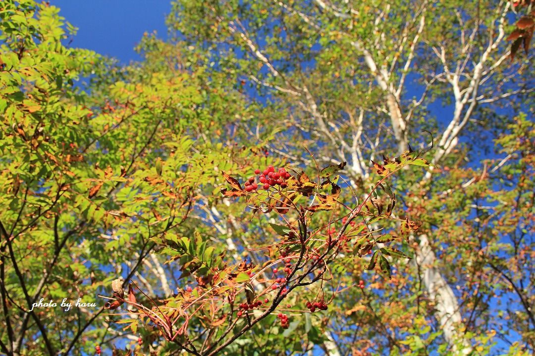 f0297537_06313998.jpg
