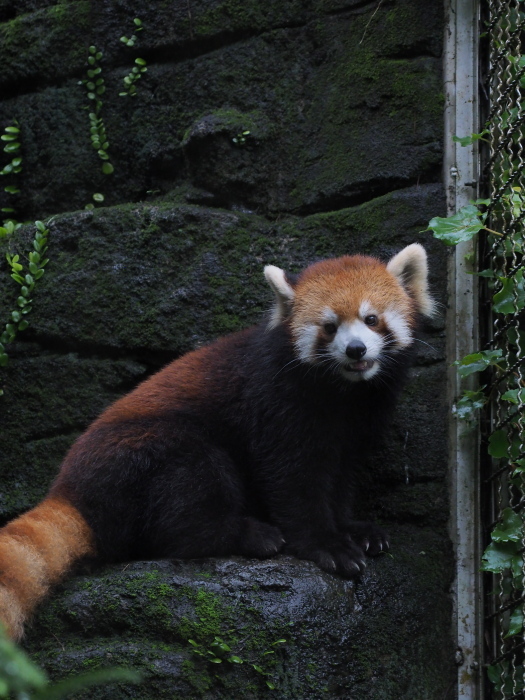 a0149740_00023341.jpg