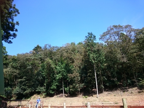 e0145441_09080345.jpg