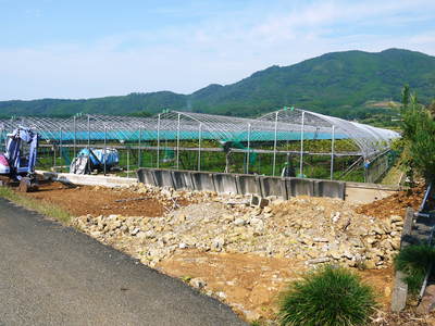 熊本ぶどう 社方園 収穫後の様子とお礼肥えへ向けての準備とイノシシの話_a0254656_18492392.jpg
