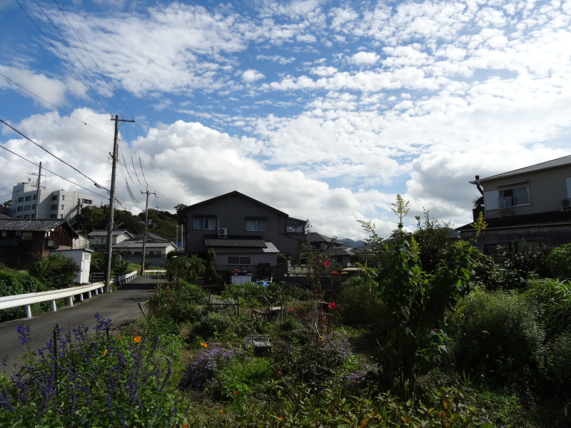 白い鳥が空を舞う_c0108460_20133522.jpg