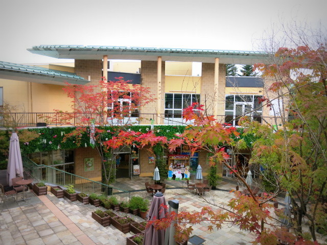 f0236260_21515521.jpg