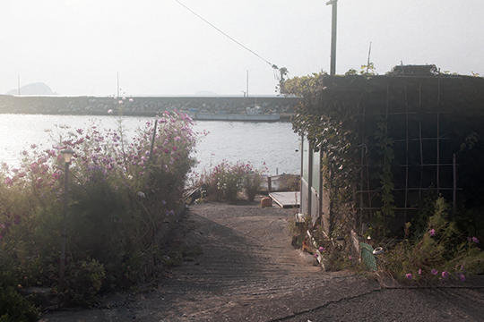 d0159062_23274965.jpg