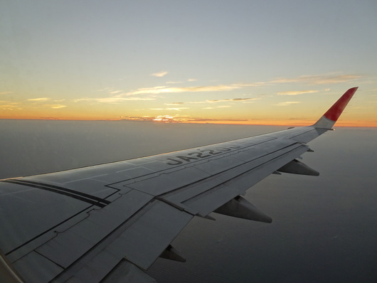 d0193569_9553880.jpg