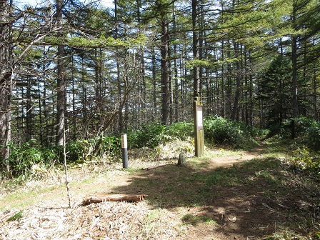 f0302771_19225351.jpg
