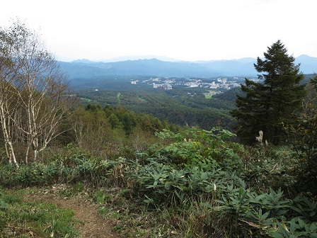 f0302771_19264998.jpg