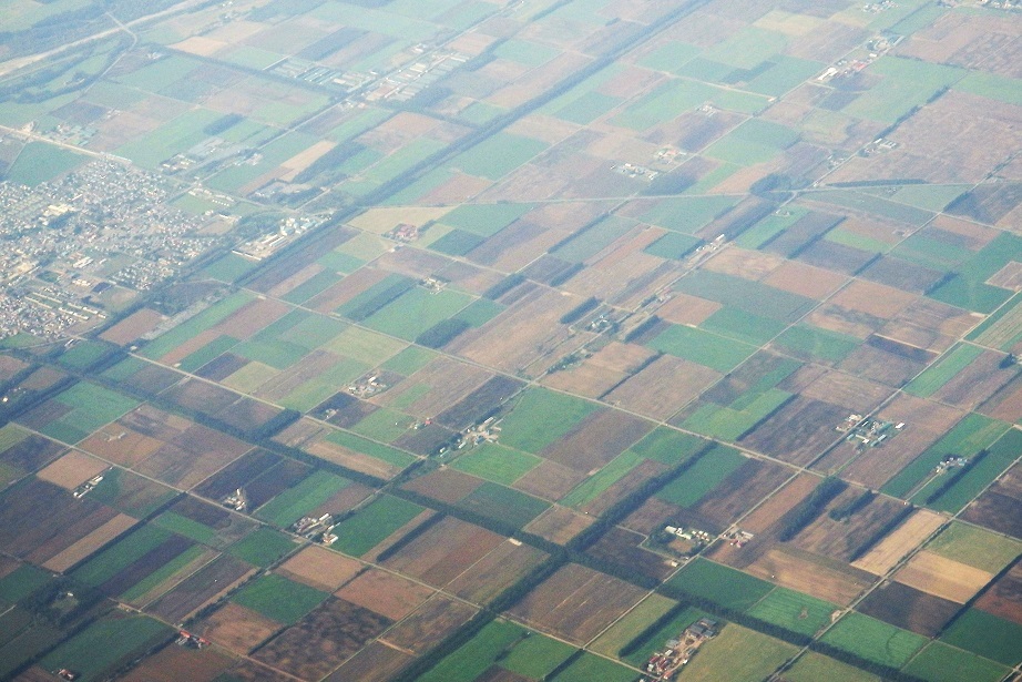 中標津空港～千歳空港の往復。　ＡＮＡに搭乗しました。_f0362073_09165807.jpg