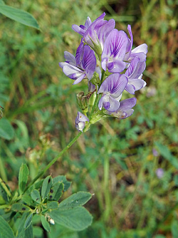 f0083977_22193595.jpg