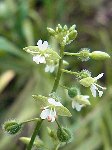 f0083977_22204936.jpg