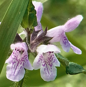 f0083977_22215524.jpg
