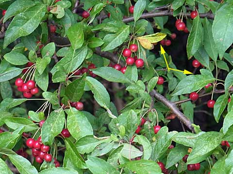 f0083977_22233143.jpg