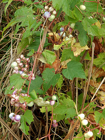 f0083977_2224986.jpg