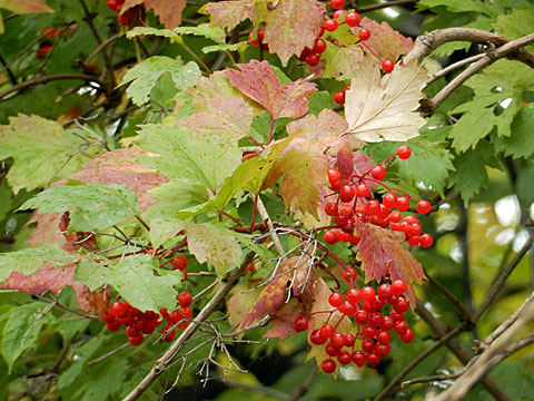 f0083977_22254569.jpg