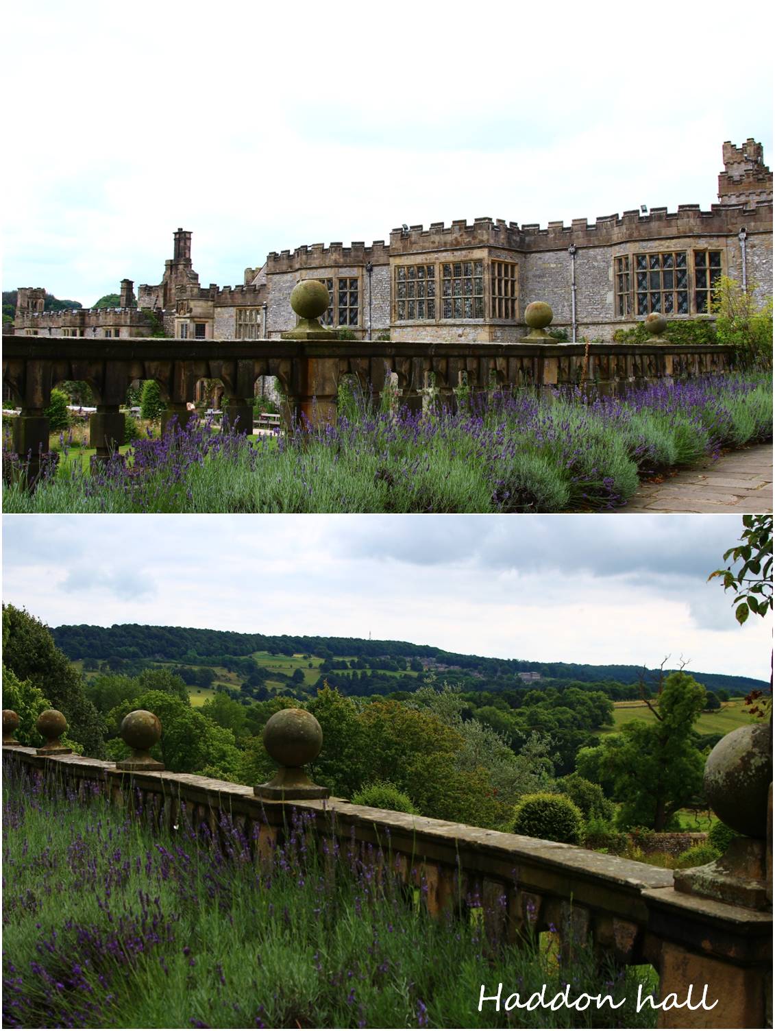 Haddon hall _a0107981_16351323.jpg