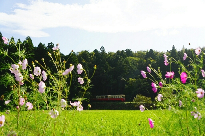 d0341483_20172357.jpg