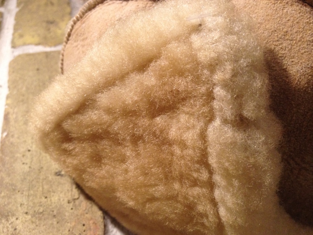 c0078587_2294310.jpg