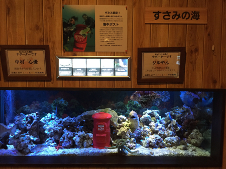 すさみ町立エビとカニの水族館、に行った！_c0039291_18230546.jpg