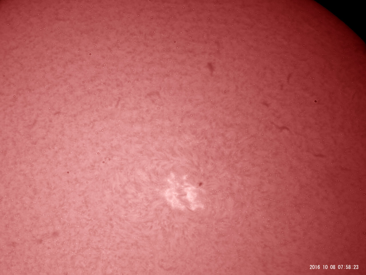 10月8日の太陽_e0174091_11360133.jpg