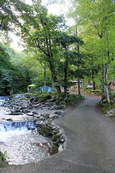 d0103292_11441315.jpg