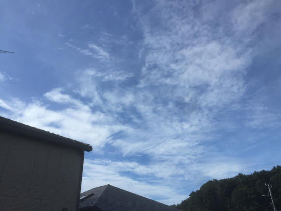 d0135694_09005247.jpg