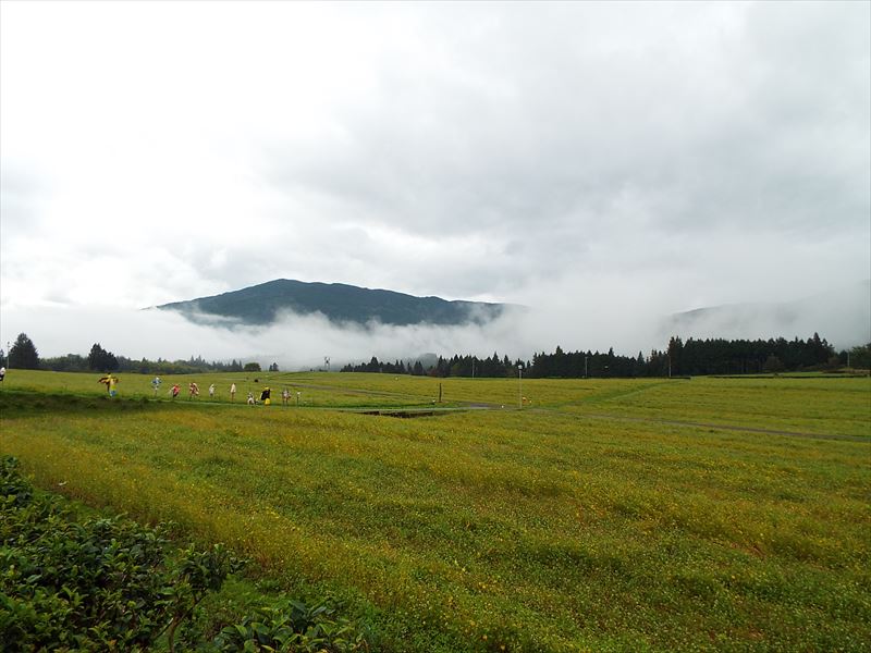 c0108198_19585363.jpg