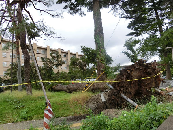 台風一過_e0131399_09375.jpg