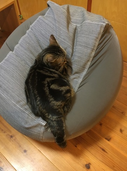 c0011300_22370250.jpeg