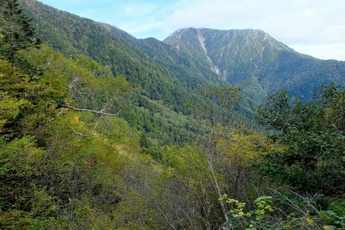 e0304001_00052720.jpg