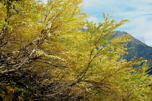 e0304001_00053404.jpg