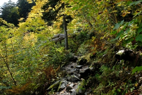 e0304001_00053975.jpg