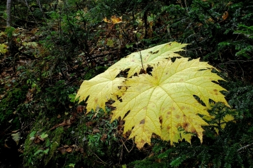 e0304001_00054379.jpg