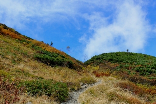 e0304001_00054625.jpg