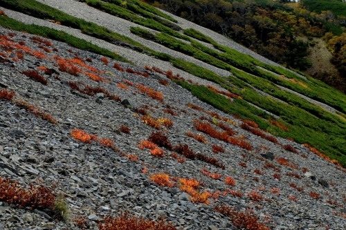 e0304001_16044397.jpg
