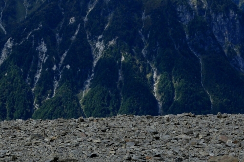 e0304001_16044890.jpg