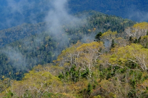 e0304001_16045752.jpg