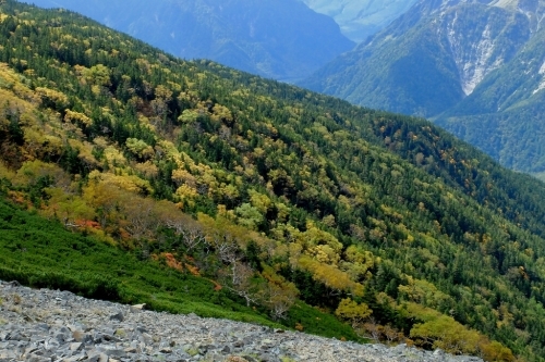 e0304001_16181827.jpg