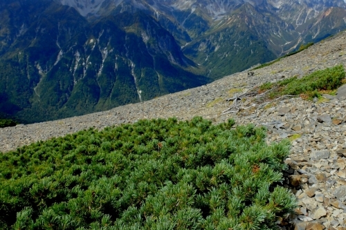 e0304001_16352737.jpg
