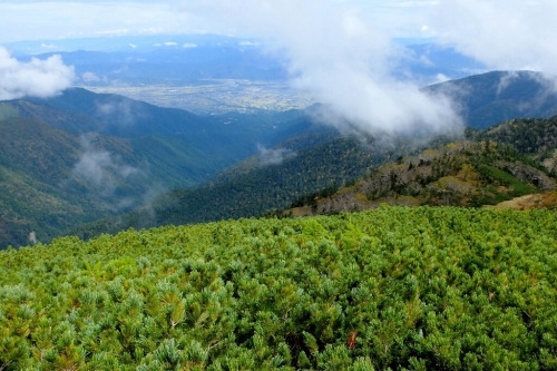 e0304001_16353446.jpg