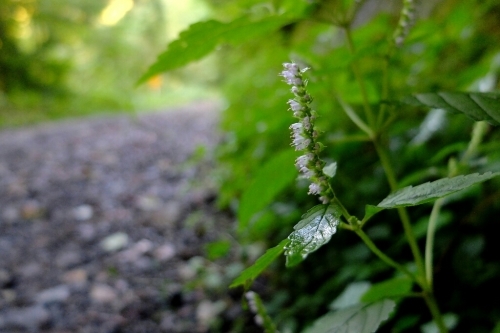 e0304001_16424094.jpg