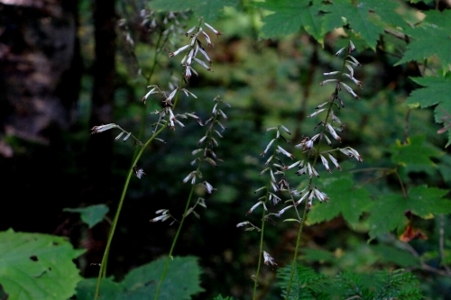 e0304001_16425220.jpg
