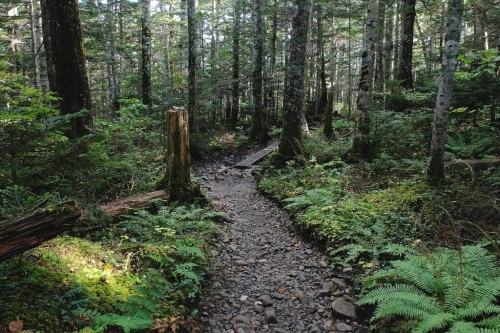e0304001_16425404.jpg