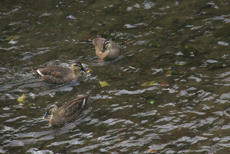 d0248502_01492342.jpg