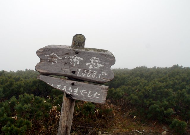 a0345007_2091955.jpg
